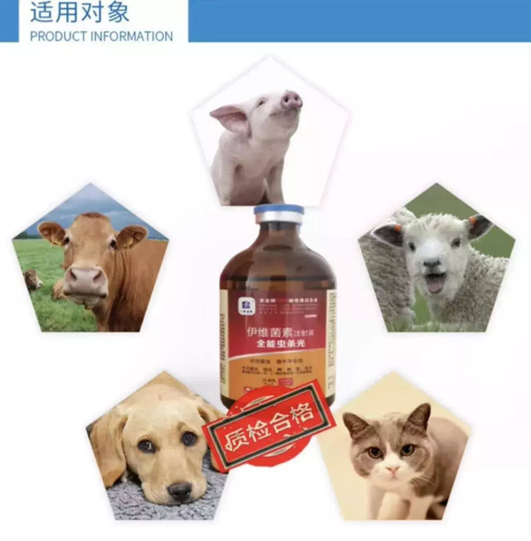 伊维菌素的驱虫针不能乱给猫狗打,最好去正规宠物医院看一下。