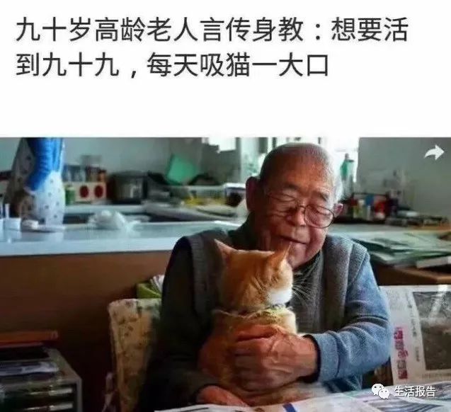 Whiskas妙鲜包，猫主子的专属美食盛宴~