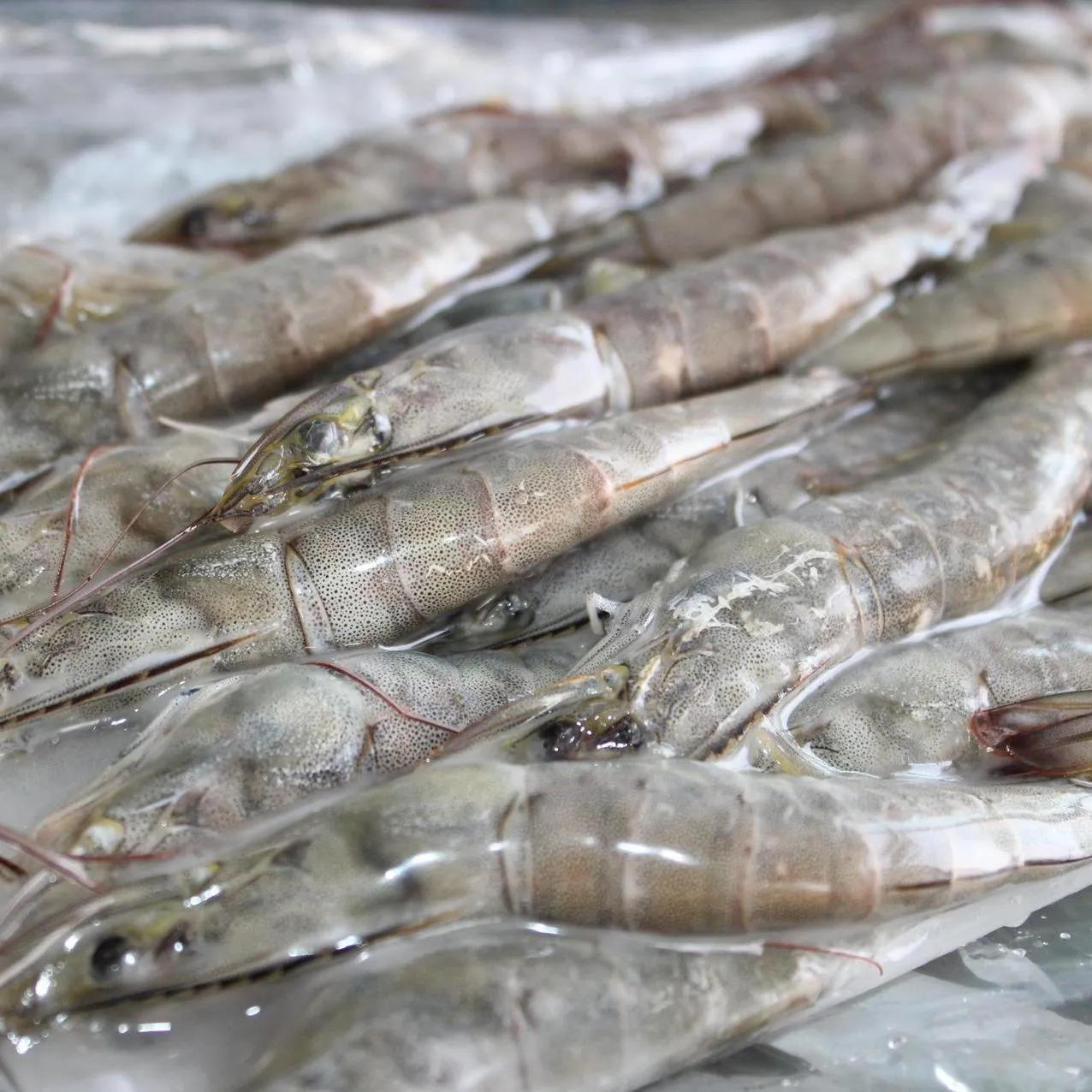 到冬天也是鲜虾的味道鲜虾的口感