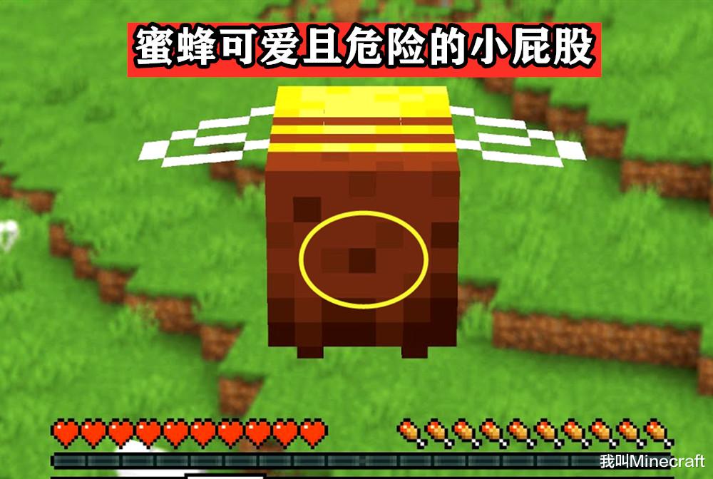 Minecraft蜜蜂养殖指南：关于蜜蜂，你可能不知道的13个冷知识