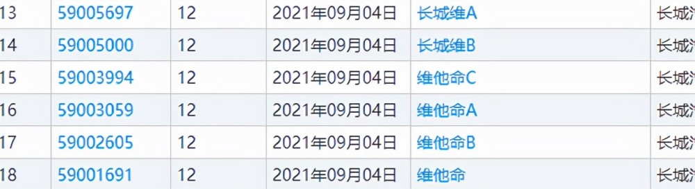 长城又上新品牌：定位高端市场，能打得过小鹏比亚迪吗？