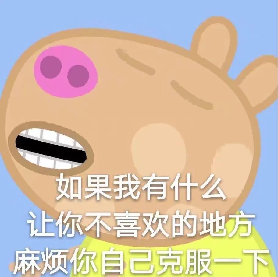 沙雕表情包：边走边爱 反正人山人海