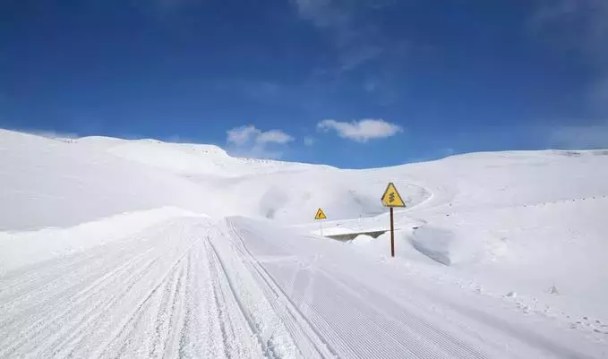 东北雪乡明码标价：承诺不宰客！网友回复：我们不去！