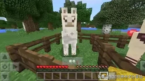 《我的世界》如何驯服和骑羊驼?