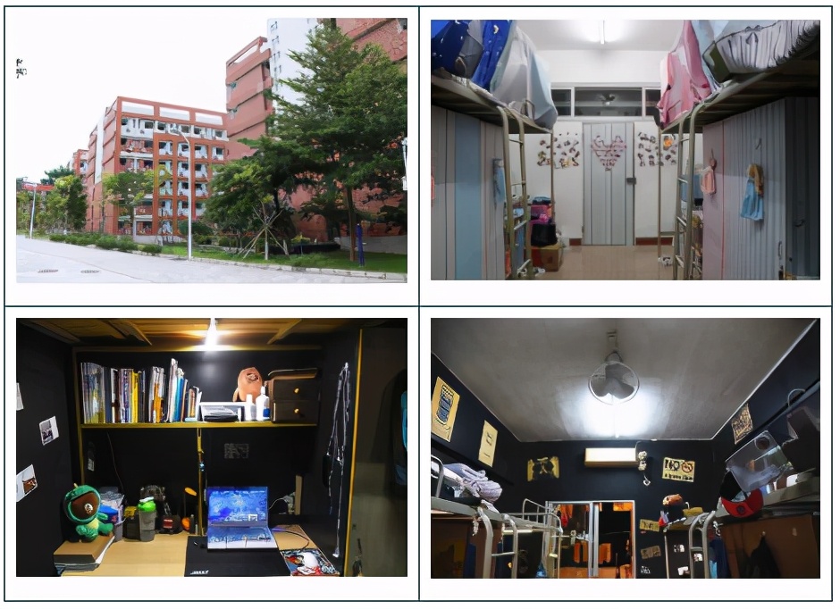 高职高考必看｜广东理工职业学院