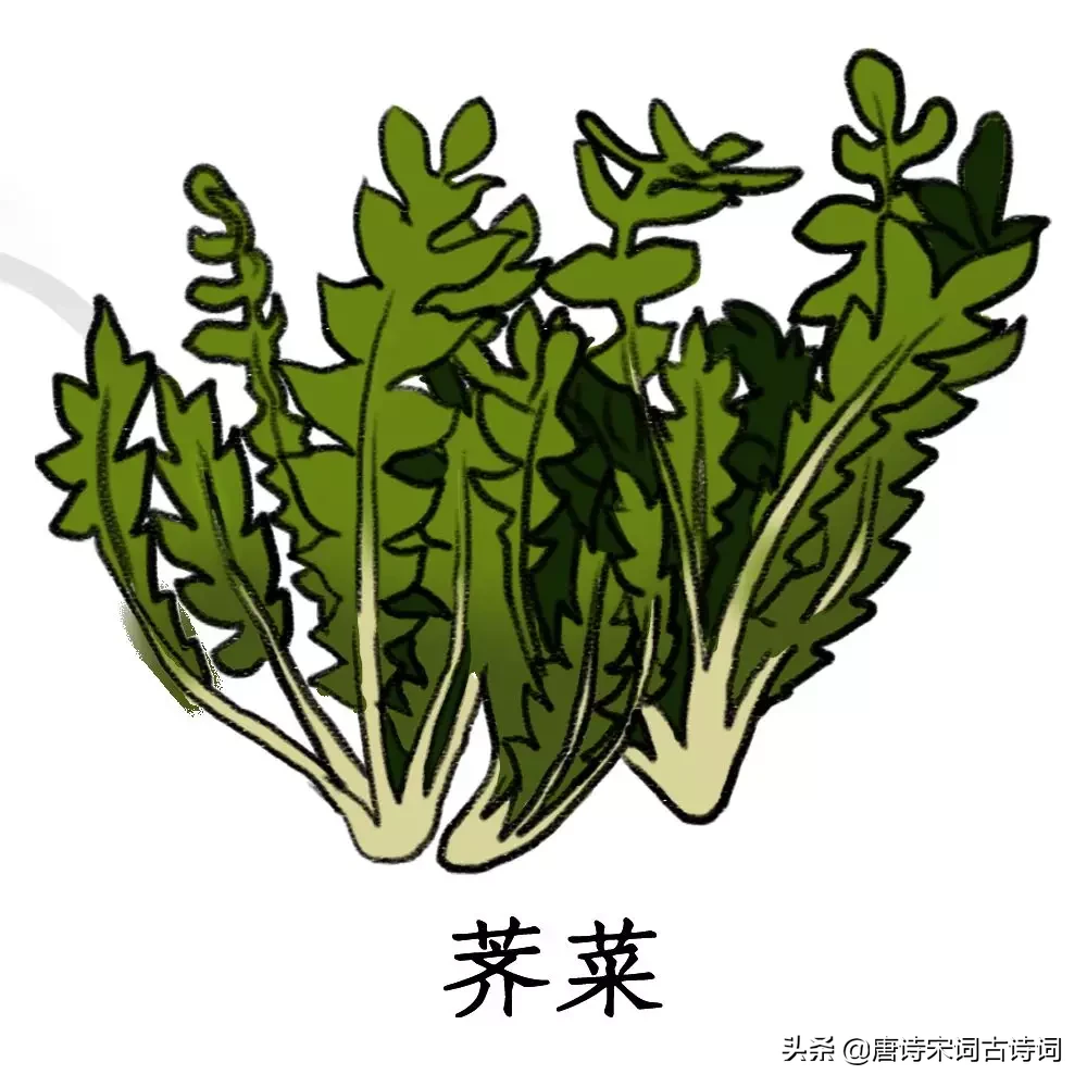 待到阴霾散尽，春光正好，我们赏读古诗词，品一品春天的味道