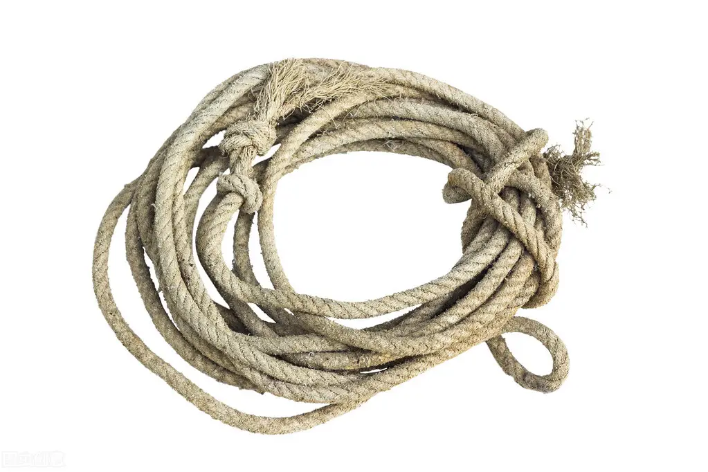 野外生存必带的11种工具，老猎人教你野外求生