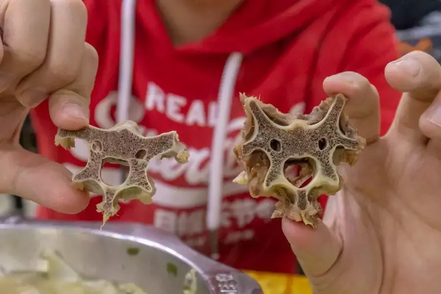 为了找出上海最好吃的藏书羊肉，去了趟苏州