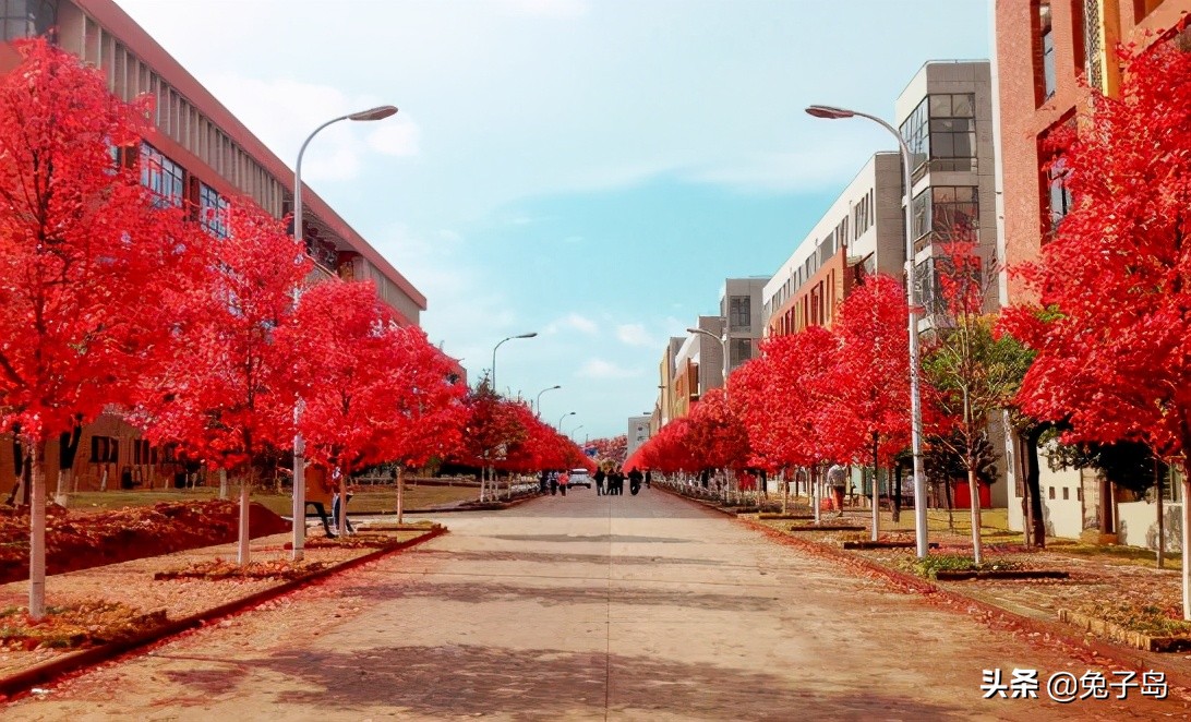 最新出炉：2021中国民办大学（I类）排名，top20榜单