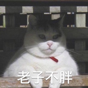 胖猫咪表情包：这不是胖，这是幸福肉