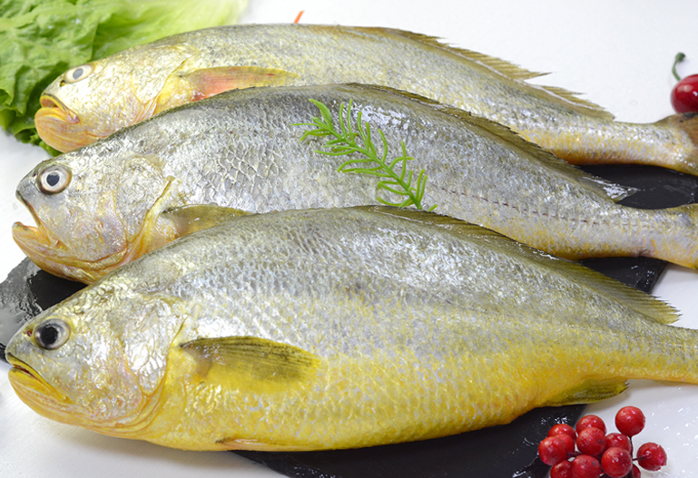 鱼龄或超10年,重7斤能卖3万多的野生大黄鱼被捕获,为何这么贵?