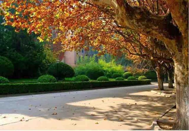 “合并”最成功的的5所大学，浙大第一，武汉两所高校入榜