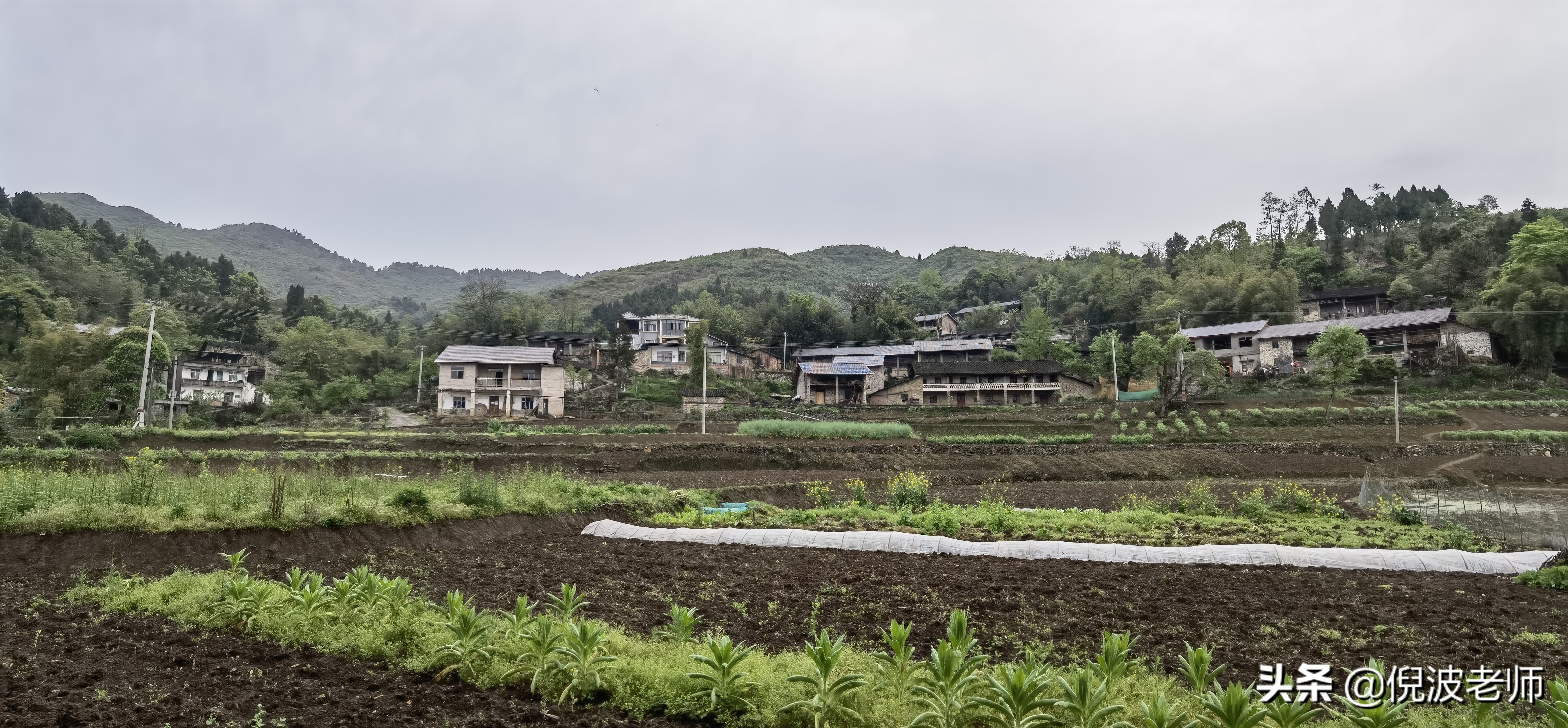 川渝合作高竹新區成立了,家鄉所有山林和土地都納入了華鎣山風景旅遊