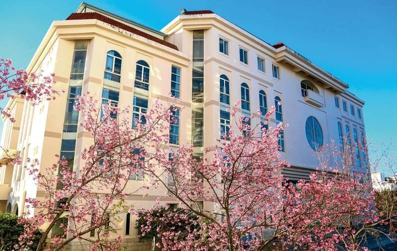 最新2022年云南省民办大学排名出炉：昆明城市学院继续领跑