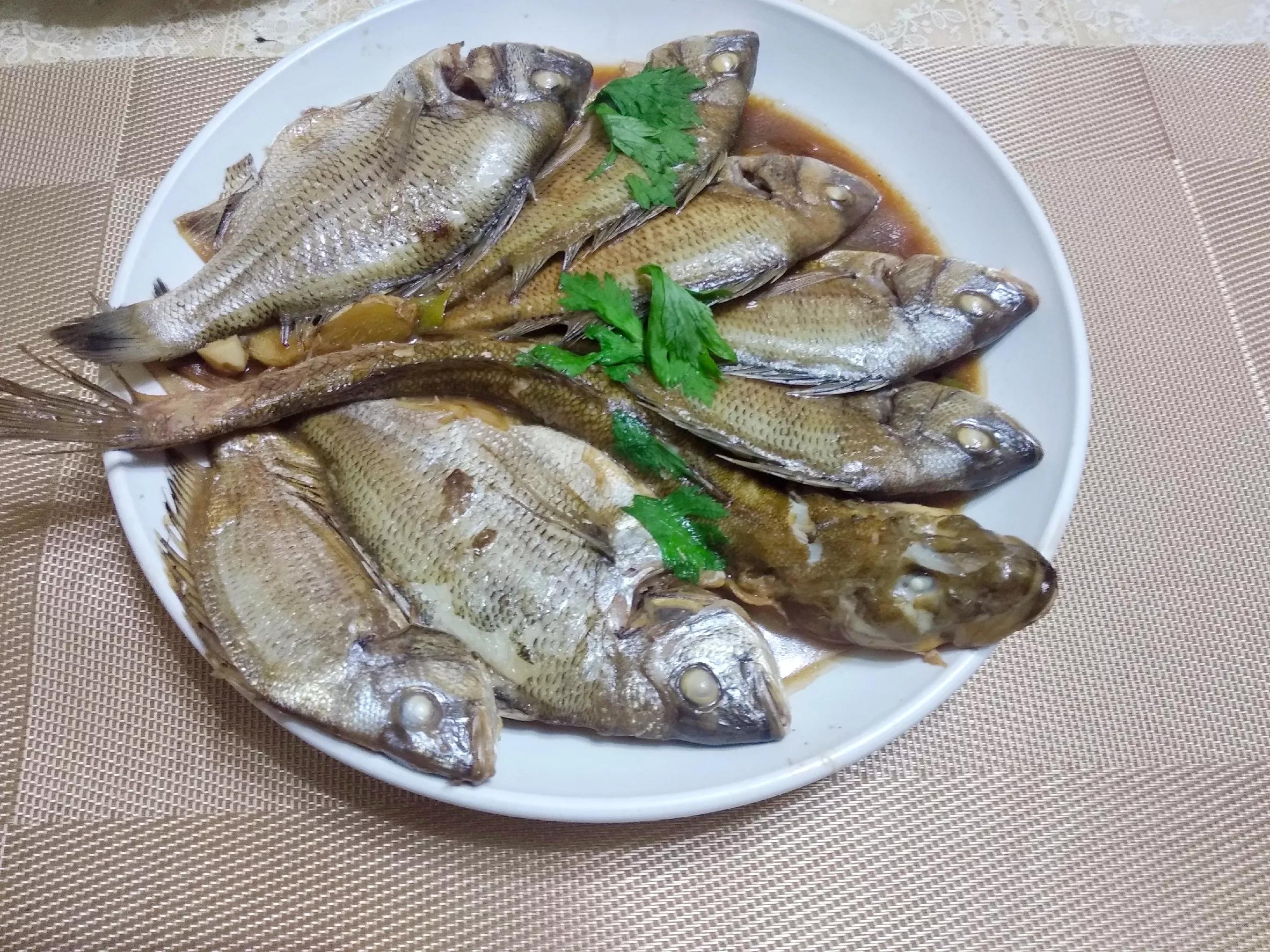 海魚的種類圖片,海魚種類名稱圖片大全