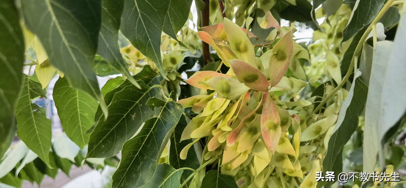 山东45所公办本科高校名单、地理位置、校区信息大全