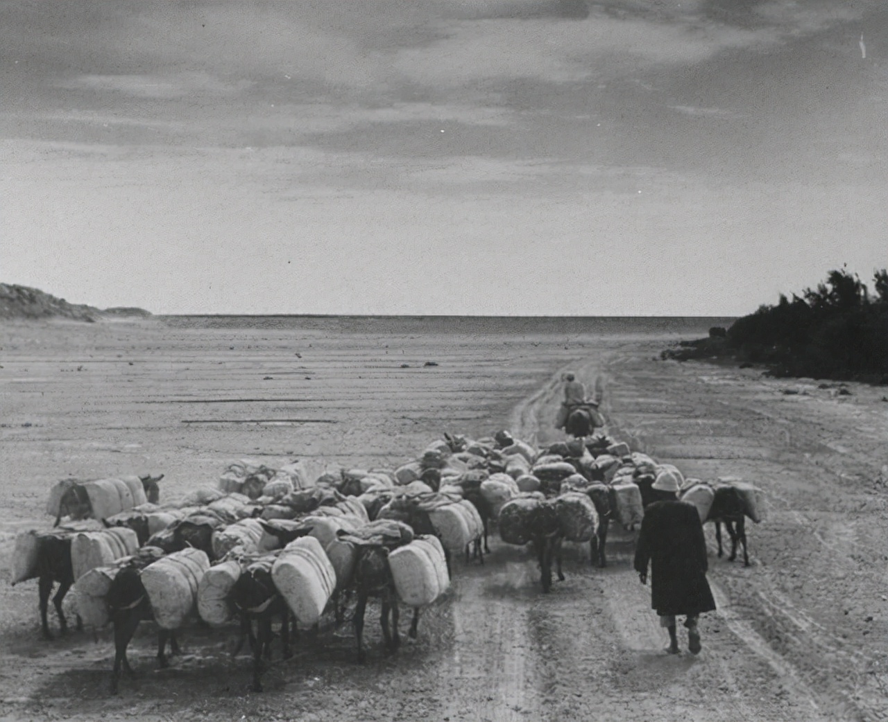 唯一没撤销的生产兵团：有14个师、2000个连队，地区GDP超2700亿