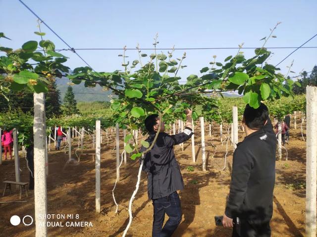 【每周警讯】平安衡阳市周报第1期（4.11——4.17）