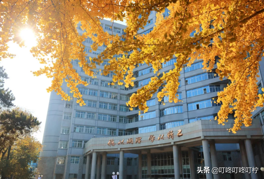 北理工珠海学院毕业生，假装北理工学生去面试，结局当场“社死”