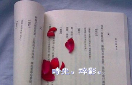 让生命有个翅膀，给活着多一些美丽与辽远