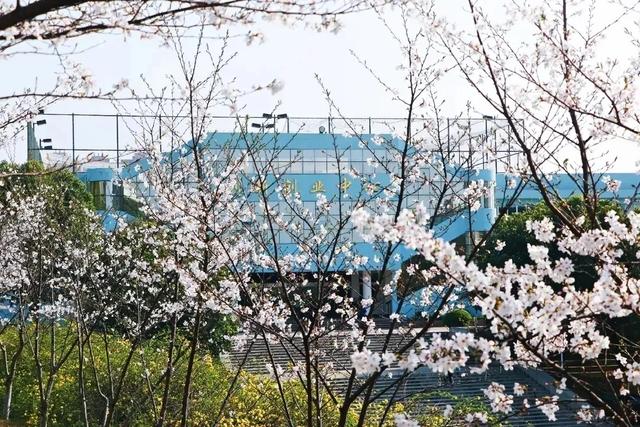 武昌理工学院究竟有多美？一组图告诉你什么才是湖景校园