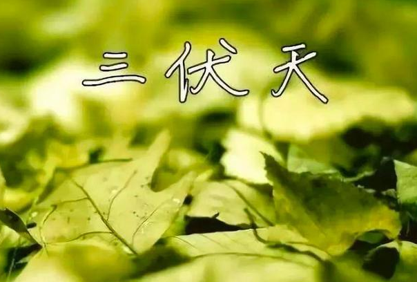 “伏包秋凉悠悠，秋包伏热到哭”啥意思？今年是“秋包伏”吗？