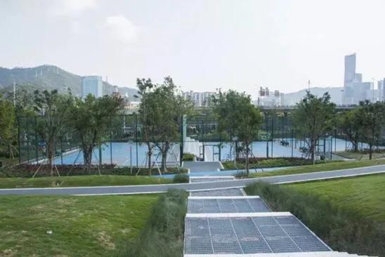 不容错过，深圳各有特色免费的十大主题公园