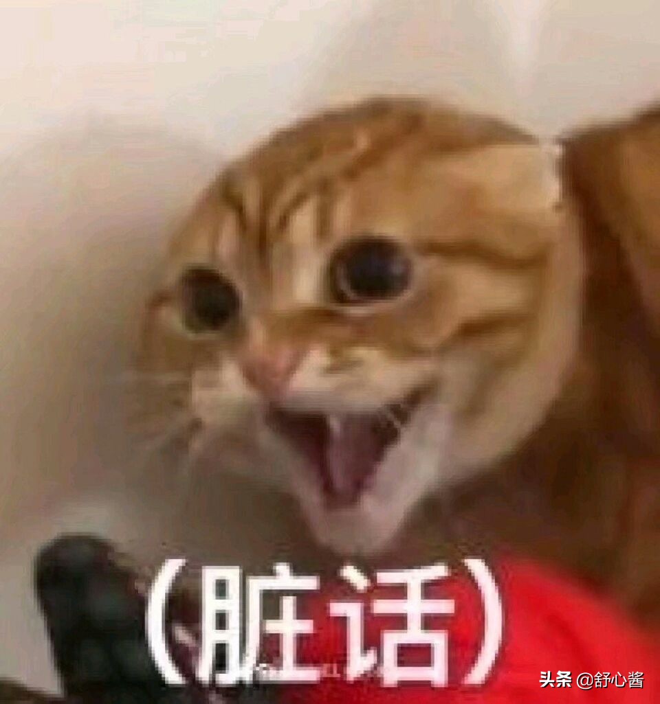 暮光女反派上演“洗冤录”：历经十年牢狱之灾、翻身成金牌律师！