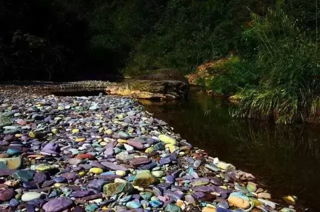 还有9天，贵州人集体放假！85个度假胜地马上安排！