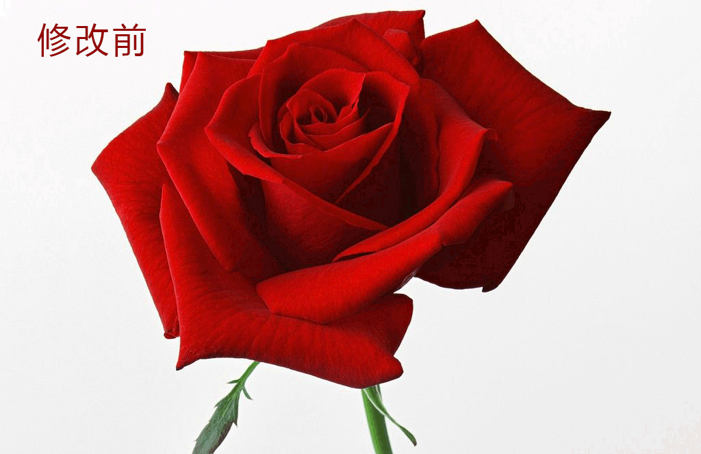 PS每日学习：图片矫正、变清晰、内容填充、替换颜色
