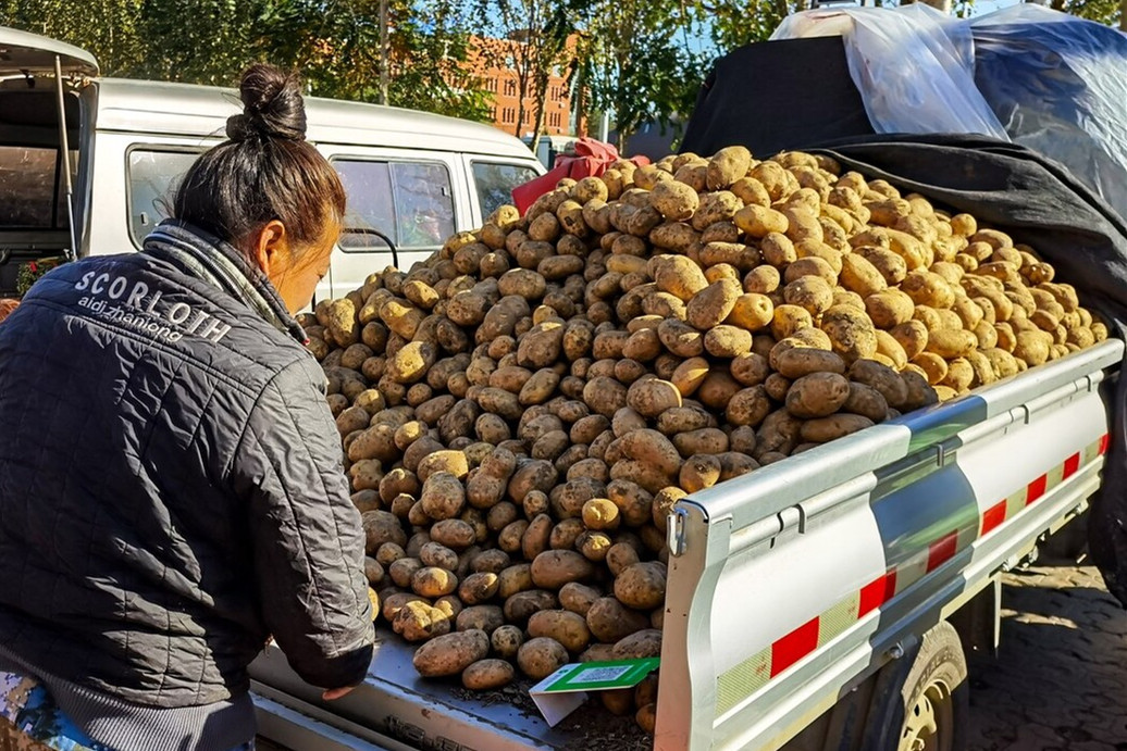 耐储存的蔬菜有哪些（这6种蔬菜可以多买点耐储存）