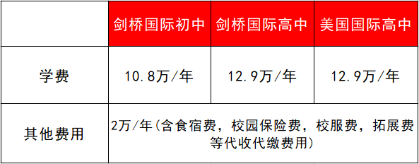 深圳国际学校学费（深圳国际学校学费10W）