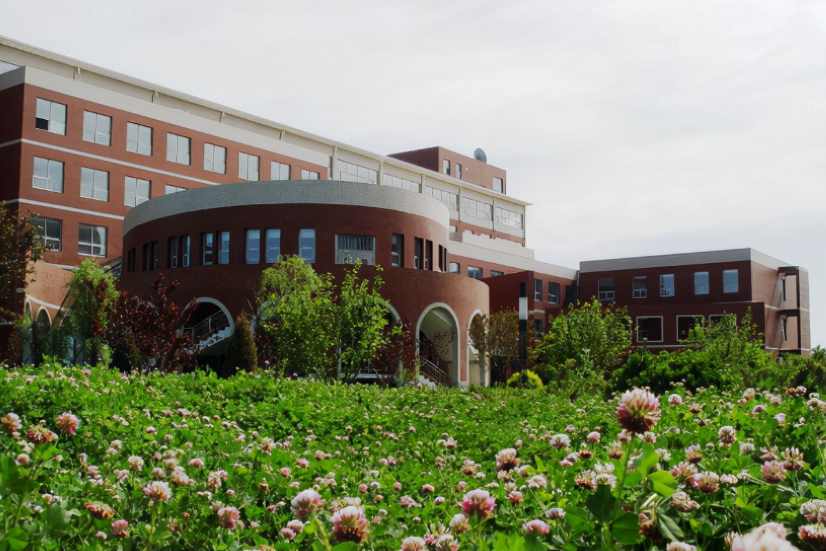 教育部批准，这4所大学已经“停办”，学生还在，学校却没了