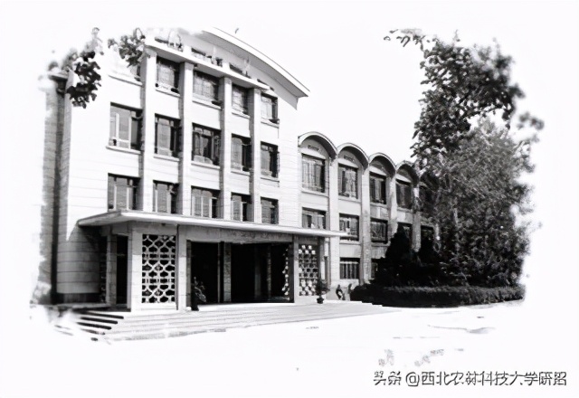 院士云集！陕西这所高校一项研究为国家挽回损失超22亿