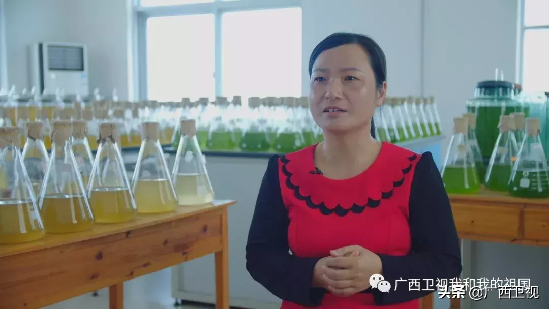 为造地雷浑身是伤，俘虏级别最高国民党将领……他们都是解放广西的英雄