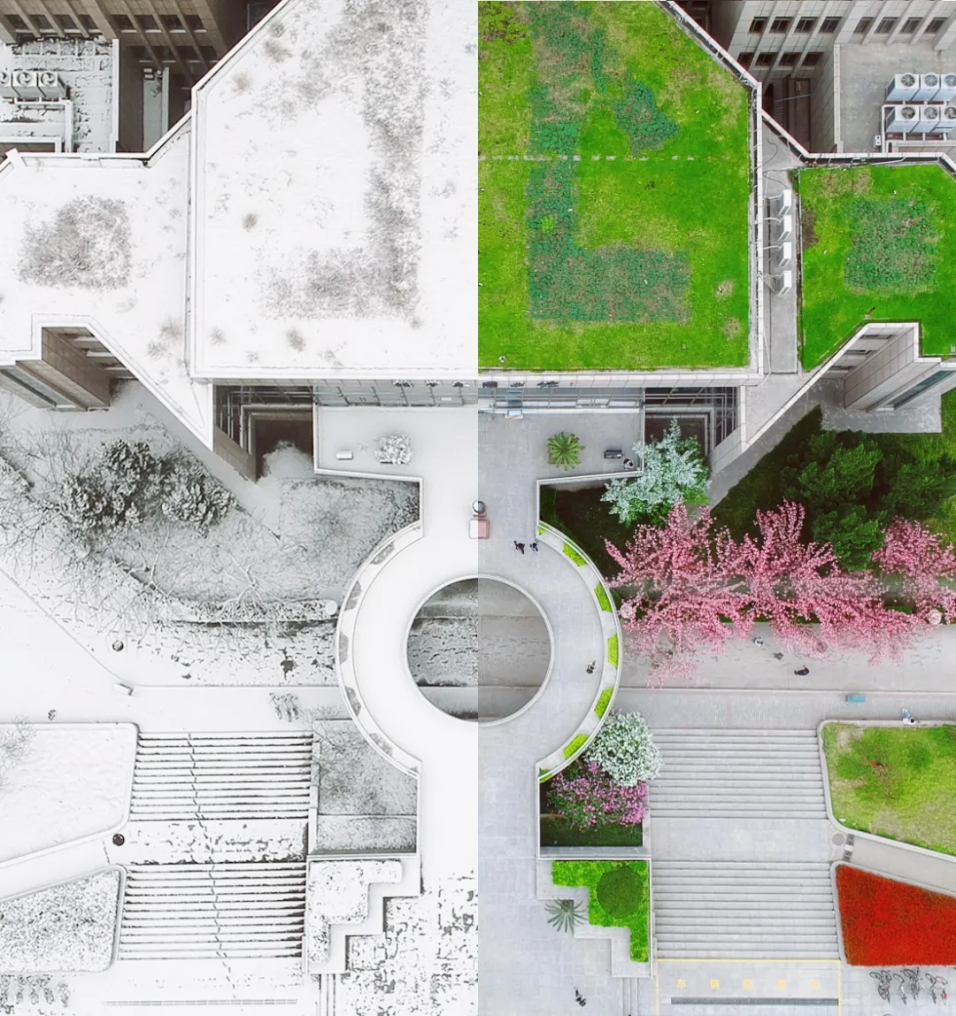 刚刚！2020年陕西省高考分数线最新公布！内附西安交大近3年录取情况！