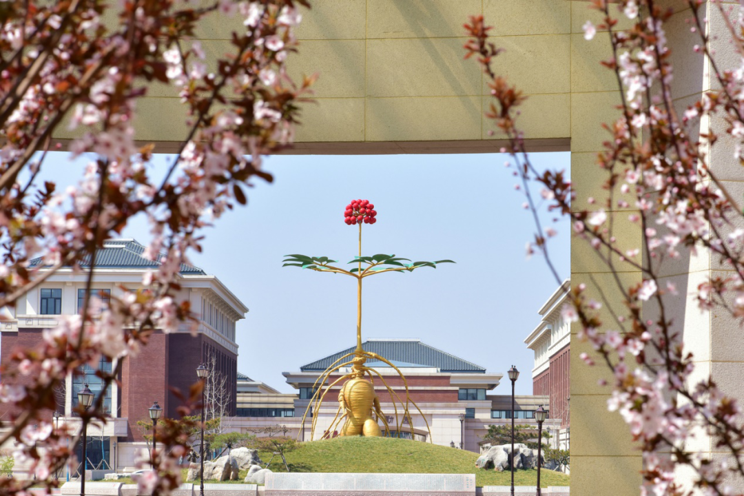 天津中医药大学研究生院官网（由张伯礼担任名誉校长）