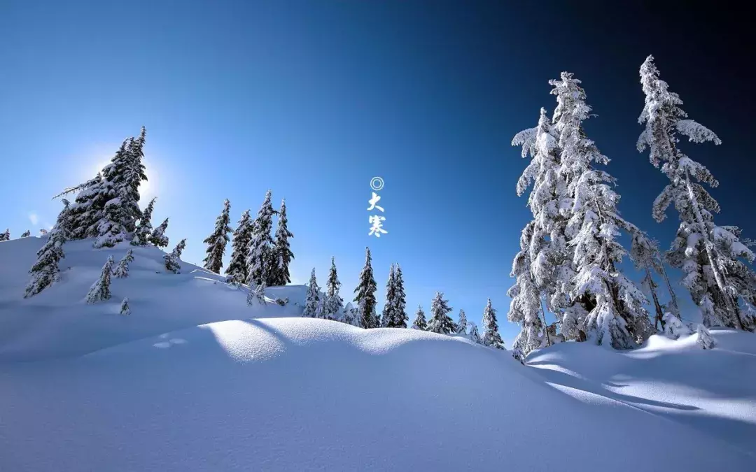 今日节气大雪：几首诗，最美的雪，我想和你一起看
