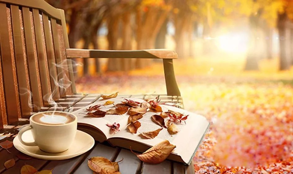 散文：一怀秋之私语，一杯午后的咖啡(咖啡情感励志文学)