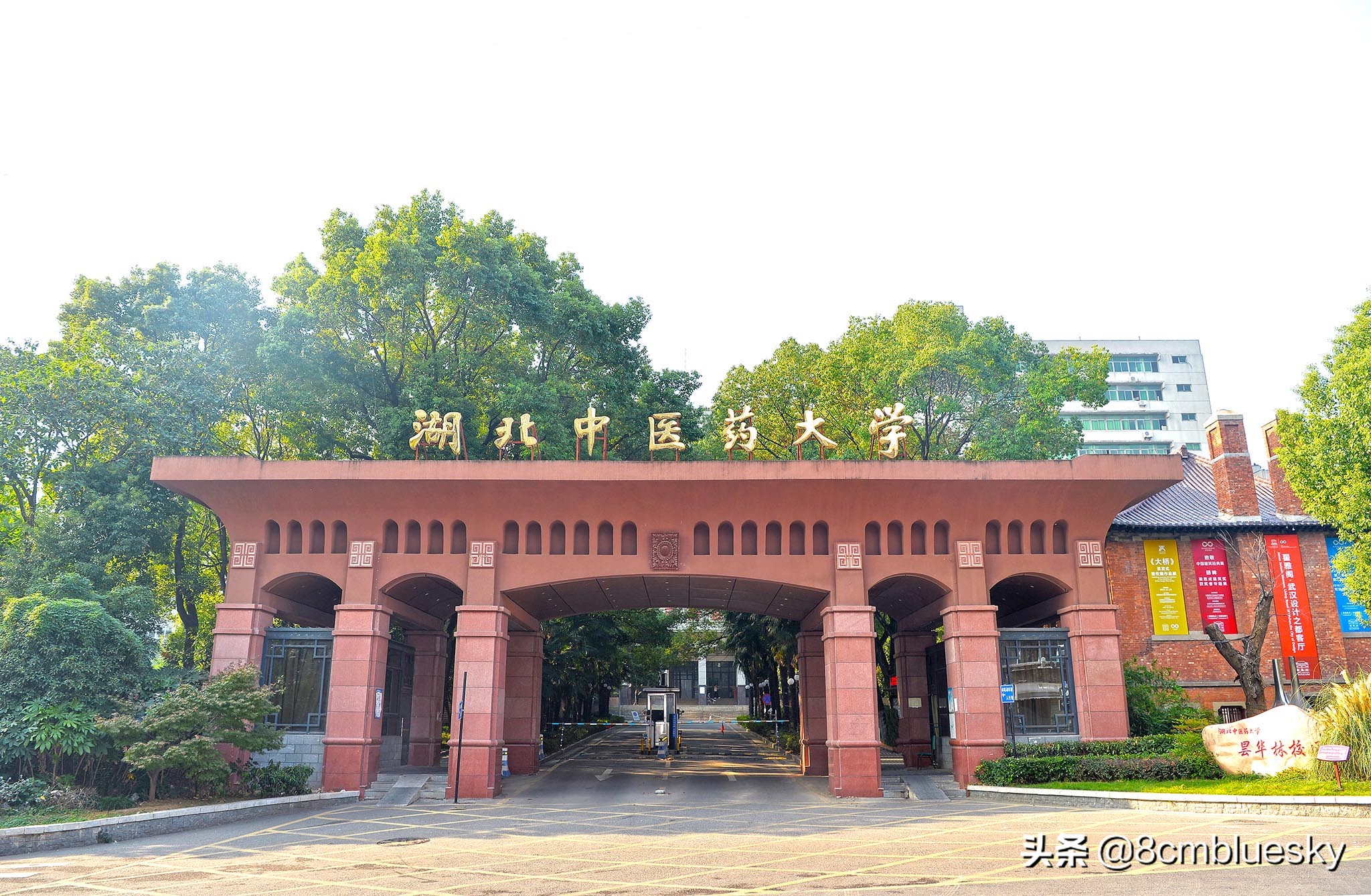 未来大有可为，中医药类高校大盘点（十六）——湖北中医药大学