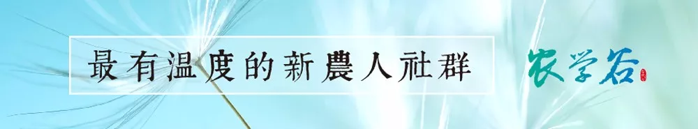 无息贷款怎么办,无息贷款怎么贷