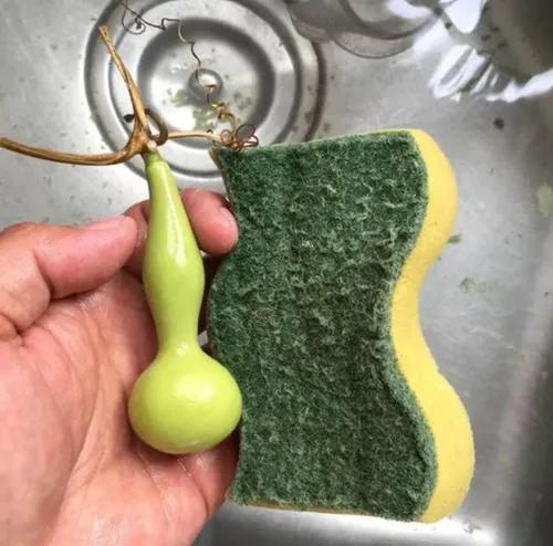 文玩葫芦怎样去皮(葫芦打皮十步骤)