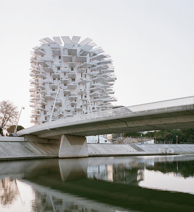 精品案例 | 白树——如树木一般从这片土地上生长起来