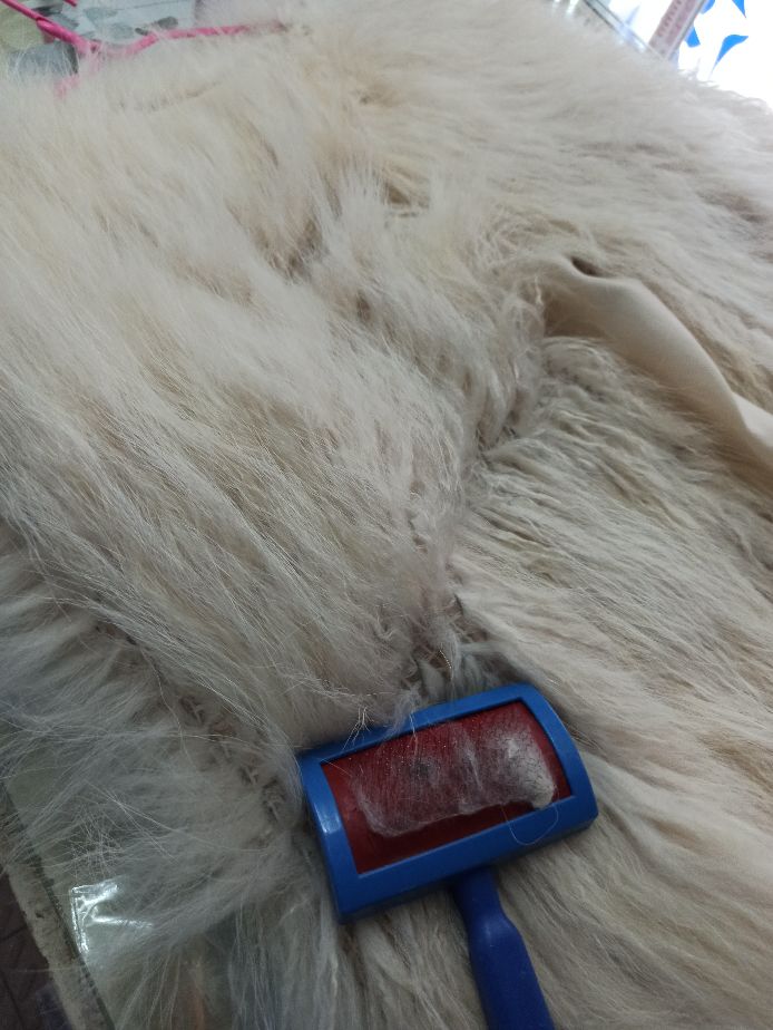 干洗店是如何水洗皮草，为大家分享一下。