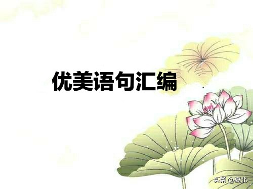 优美的比喻句和拟人句汇编