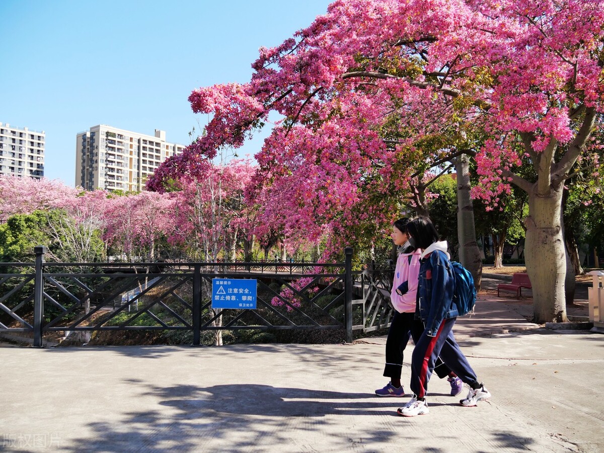 这个自嘲只有夏天的省份，私藏了中国最丰满秋色，11、12月靓爆镜