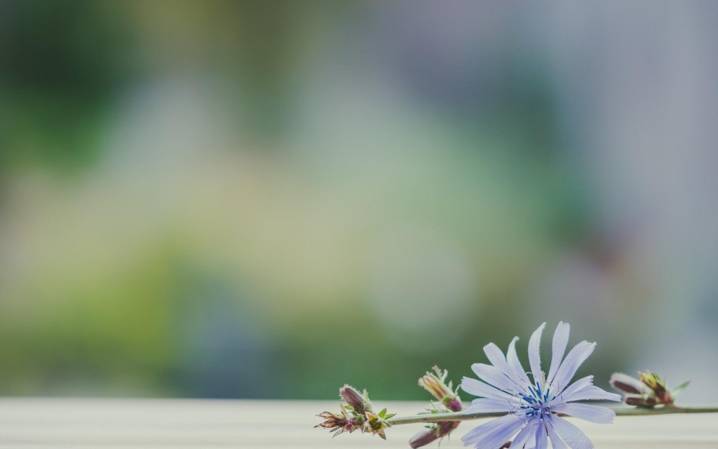 散文:每个人都应该懂得,什么才是真正的幸福