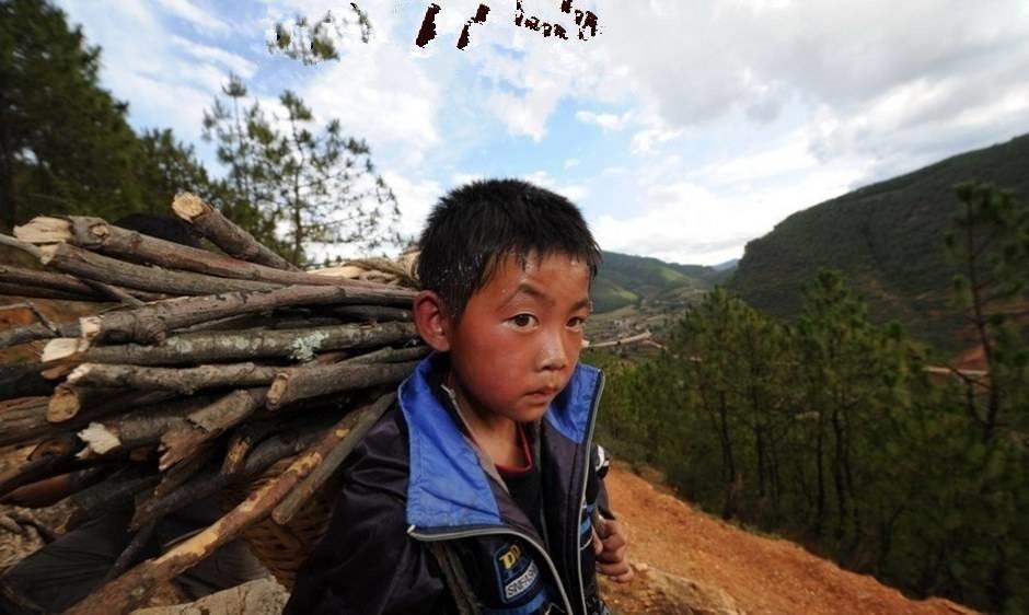 很好的促进了政策发展目标的落地,特别是针对西北地区及贫困山区,碳