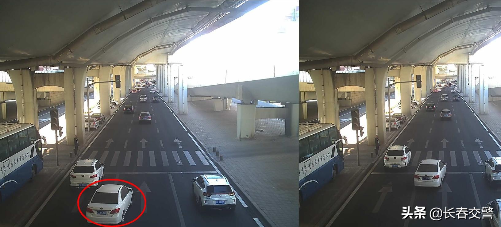 「违法曝光台」再这样开车，蜀黍建议你好好看看交通法吧！