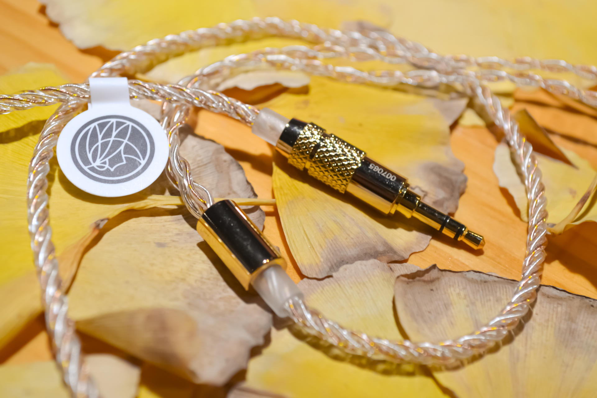 入耳心动 锦瑟香也TFZ T2 PRO 发烧友化身运动健儿